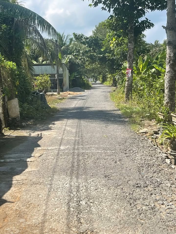 Đất thổ cư 243,3m² tại Hiếu Thành, Vĩnh Long giá 980 triệu - Cơ hội đầu tư hấp dẫn!