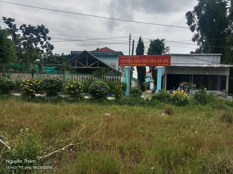 Đất nền Tân Long Hội 115m² giá 420 triệu - Đối diện trường tiểu học Tân An Hội!