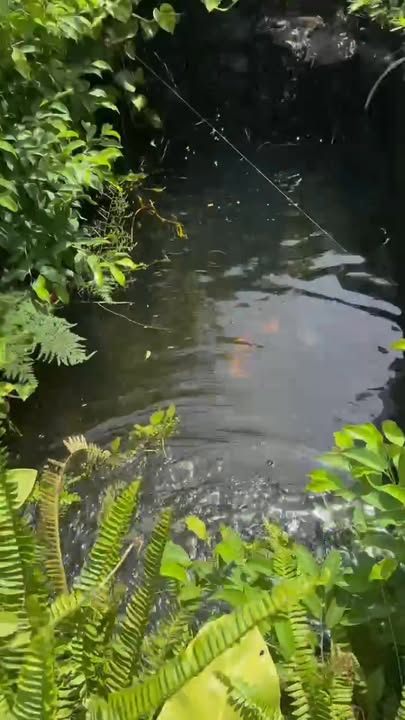 Nhà vườn biển Nguyễn Tất Thành 132m² giá 7 tỷ - Thiết kế hiện đại, gần biển!