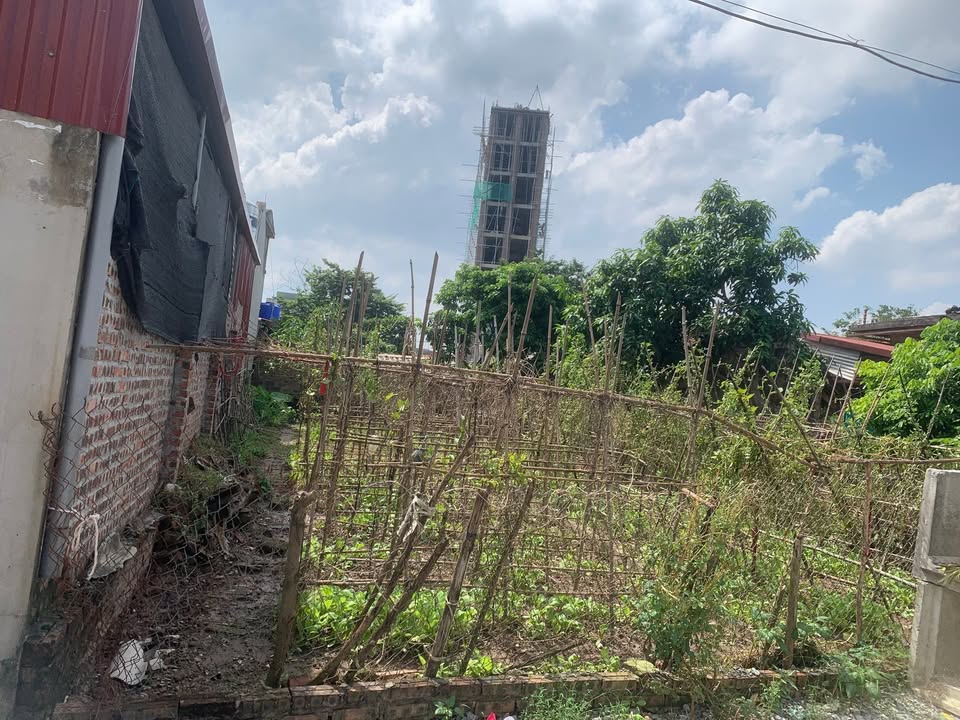 Đất nền Dạ Trạch, Khoái Châu 75m² giá 1.5 tỷ - Sát hồ, đường thông rộng!