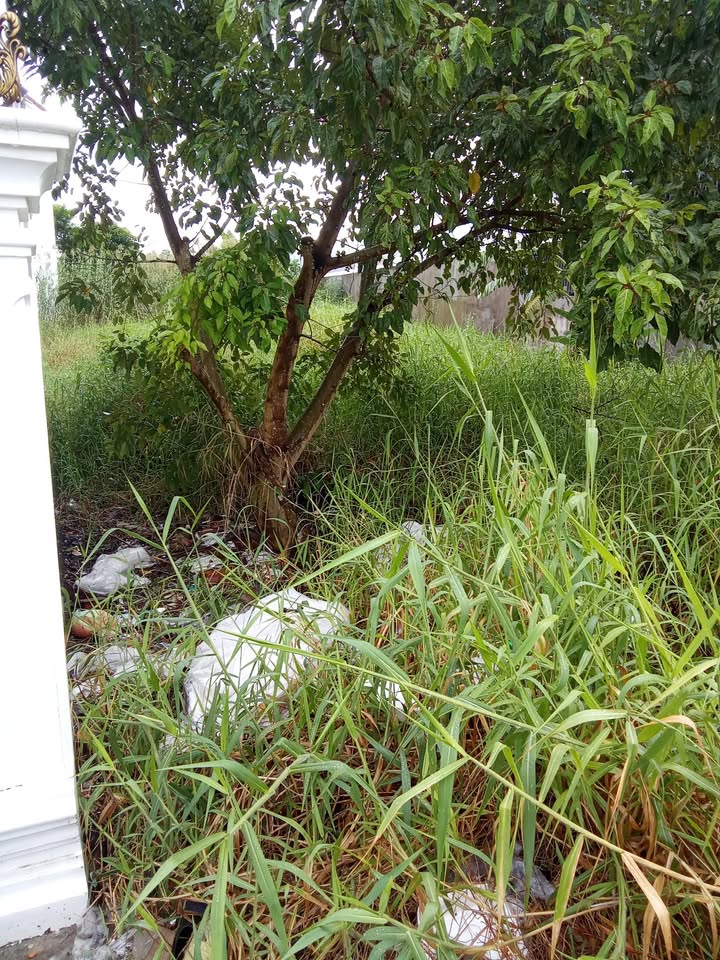 Đất nền Quốc lộ 1 Tân Long 350m² giá 850 triệu - Cơ hội đầu tư tuyệt vời!