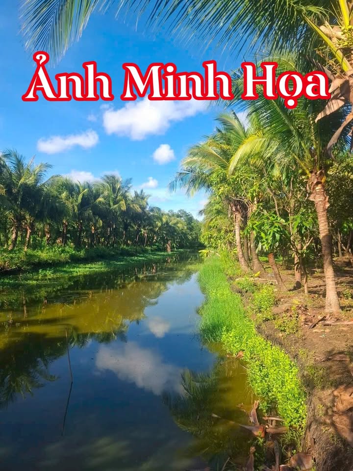 Đất vườn 20 công tại Vĩnh Trạch, Bạc Liêu - Cơ hội đầu tư sinh lời!