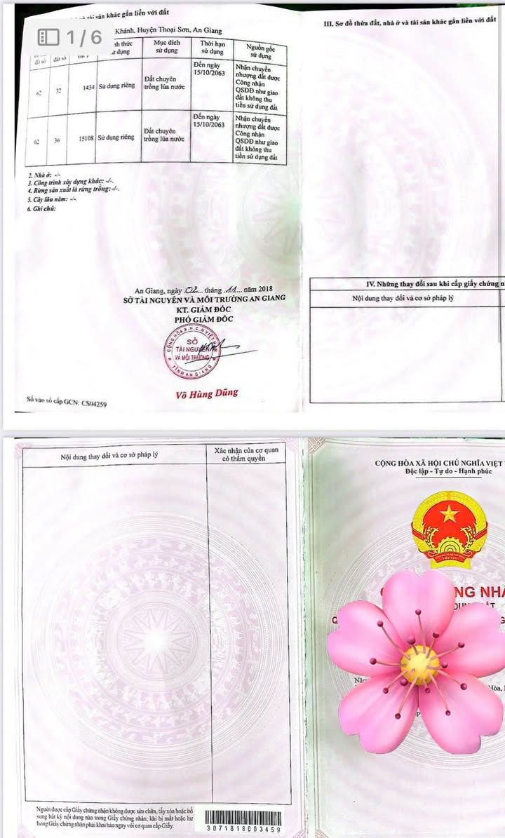 Đất ruộng 16 công tại Vĩnh Khánh, Thoại Sơn - Giá chỉ 1.6 tỷ!