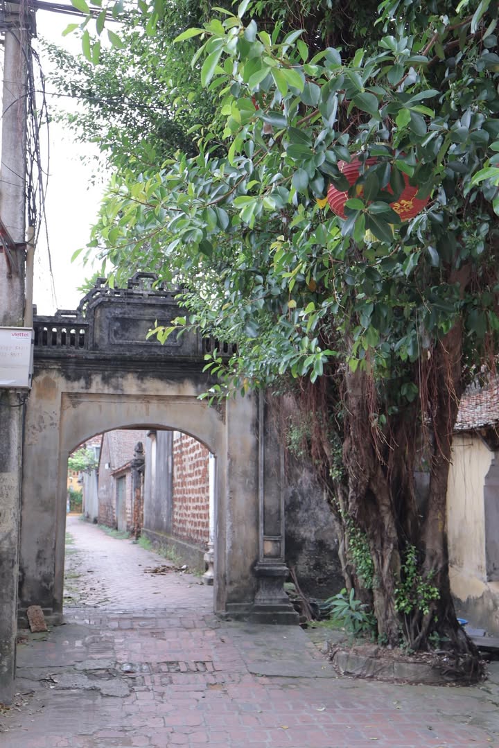 Đất Đông Lao Hoài Đức 150m² giá 1.5 tỷ - Chính chủ bán gấp!