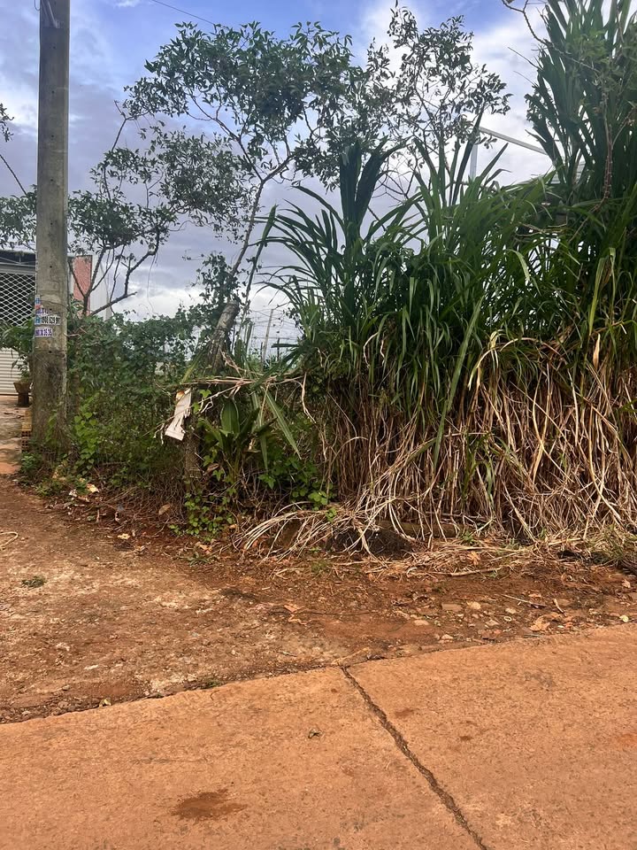 Đất nền Liên Hiệp, Đức Trọng, Lâm Đồng 100m² giá 760 triệu - Cơ hội đầu tư tốt!