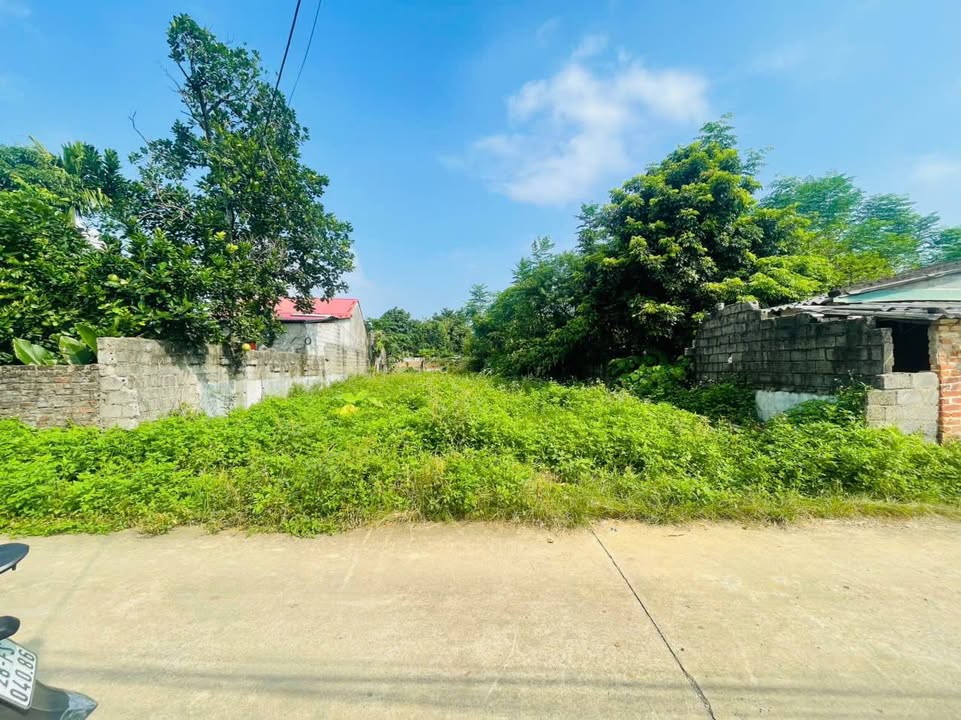 Đất thổ cư Lương Sơn 313m² giá 3.13 tỷ - Cơ hội đầu tư hấp dẫn!