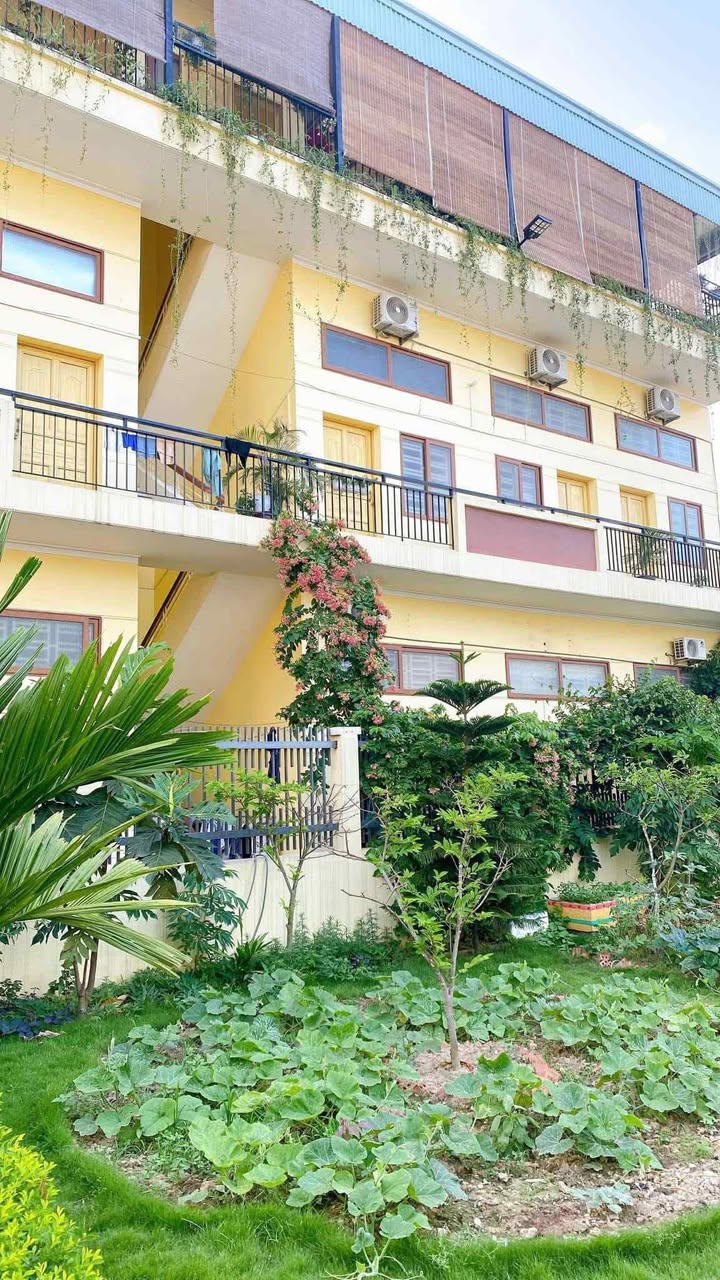 Phòng trọ có gác lửng tại Trường Sơn, An Lão - Giá chỉ 2 triệu/tháng!