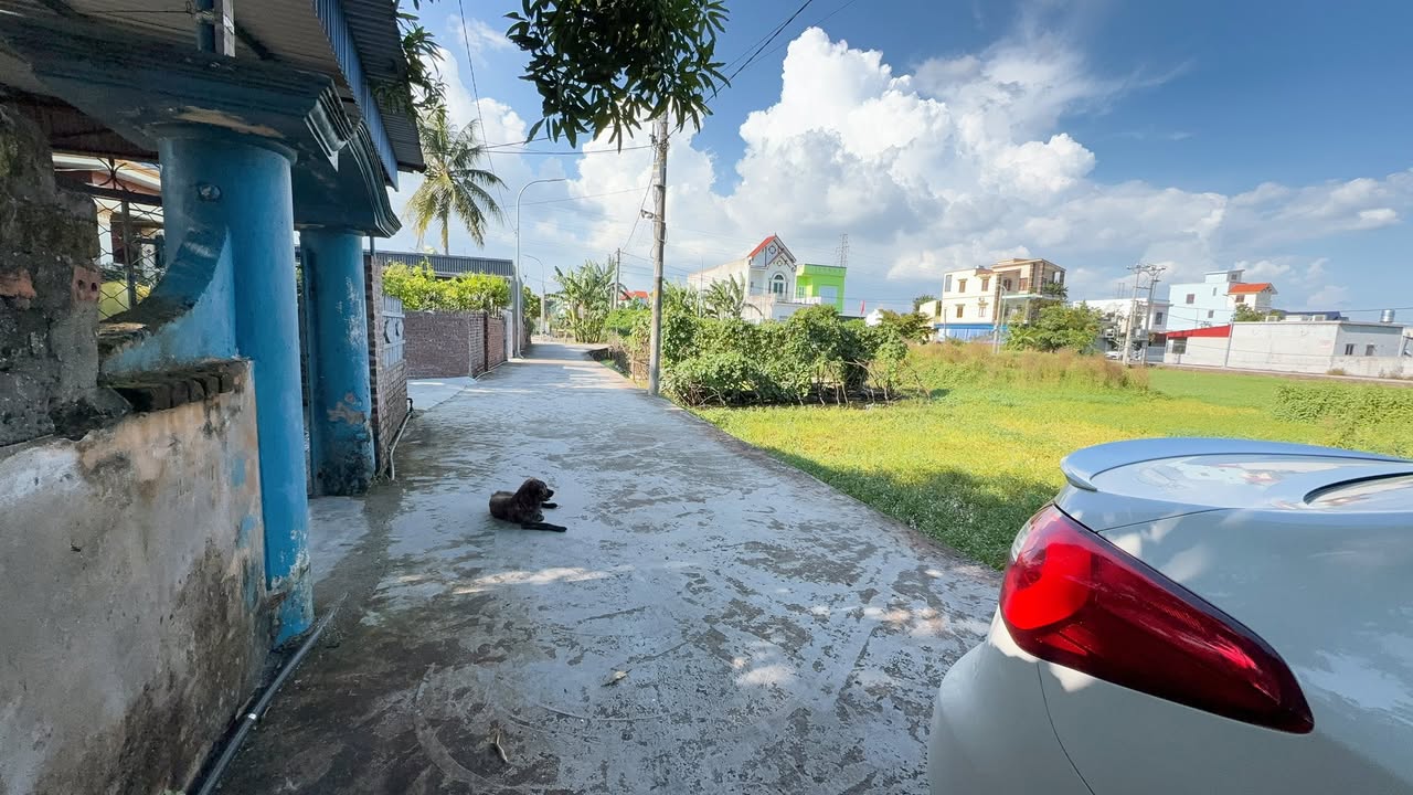 Đất nền Cẩm Văn, An Lão 72m² giá chỉ 500 triệu - Đầu tư sinh lời cao!