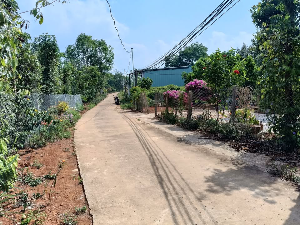 Đất thổ cư Nhân Cơ Đắk Nông 570m² giá 450 triệu - Đầu tư sinh lời ngay!