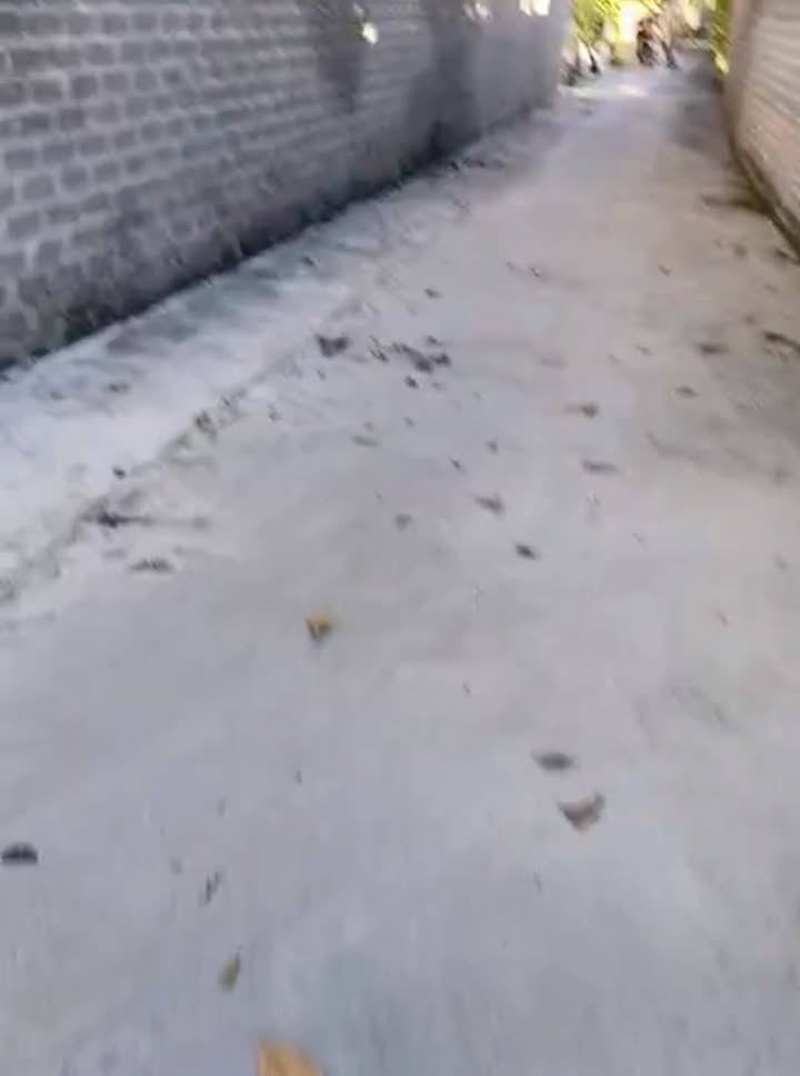 Đất nền Tân Dân An Lão 80.5m² giá 600 triệu - Đất vuông đẹp, tiện ích đầy đủ!