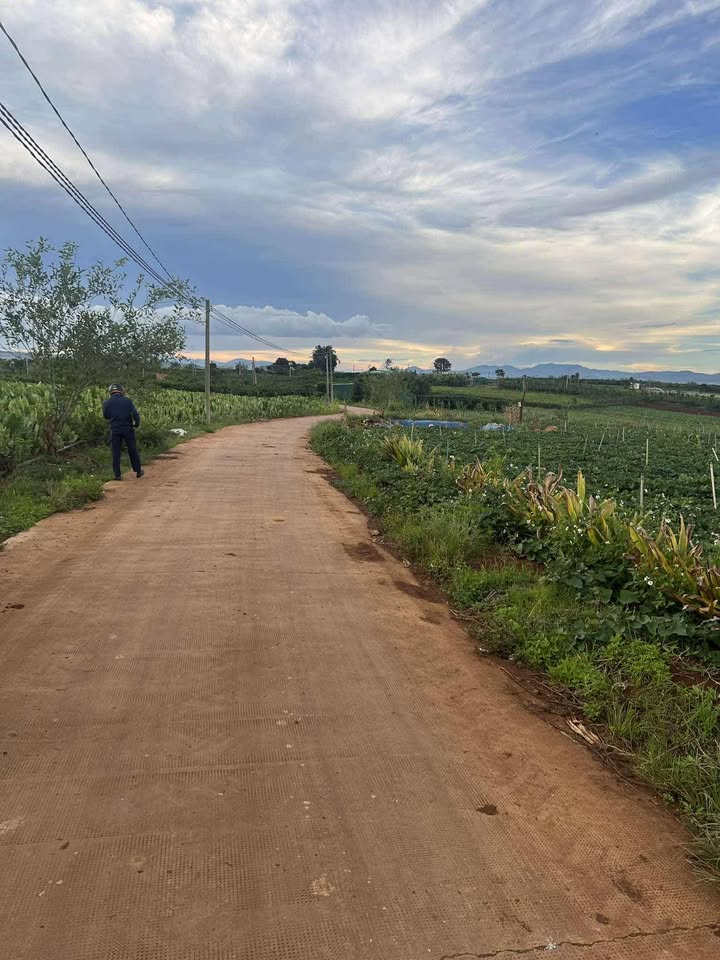 Đất nền Tân Hội, Đức Trọng 459m² giá 580 triệu - Đầu tư sinh lời ngay!