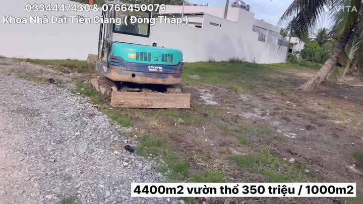 Đất vườn 4400m² Tân Phú Đông chỉ 1.55 tỷ - Đầu tư sinh lời ngay!
