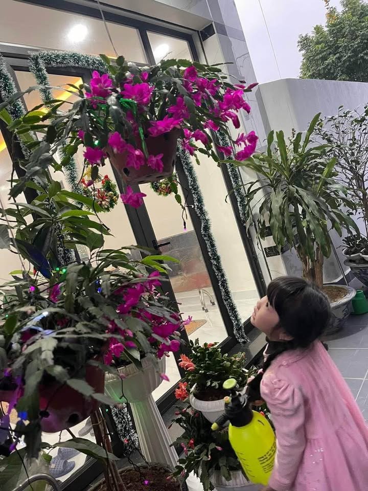 Nhà 4 tầng độc lập đường Bùi Viện, Hải Phòng - Giá thỏa thuận, sẵn sàng vào ở!