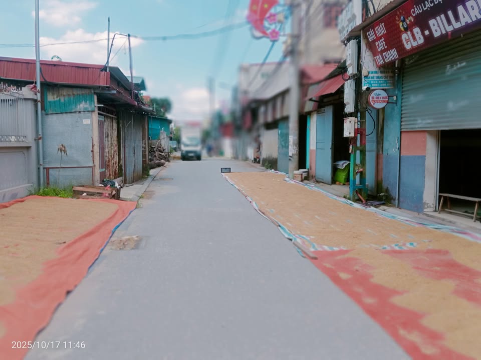 Đất nền kinh doanh 60m² tại Thanh Oai - Đầu tư sinh lời không thể bỏ qua!