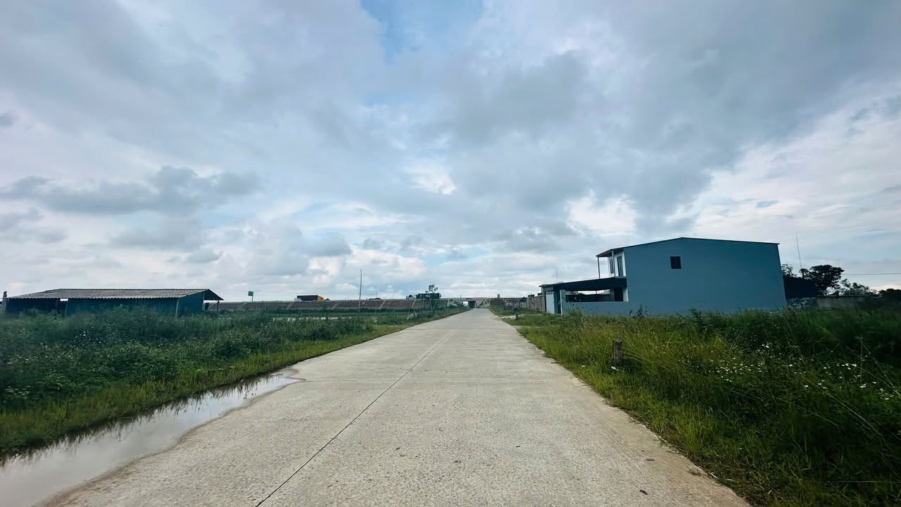 Đất quy hoạch Đồng Bòng Thạch Xuân 250m² giá 3 tỷ - Vị trí đắc địa, giao thông thuận lợi!