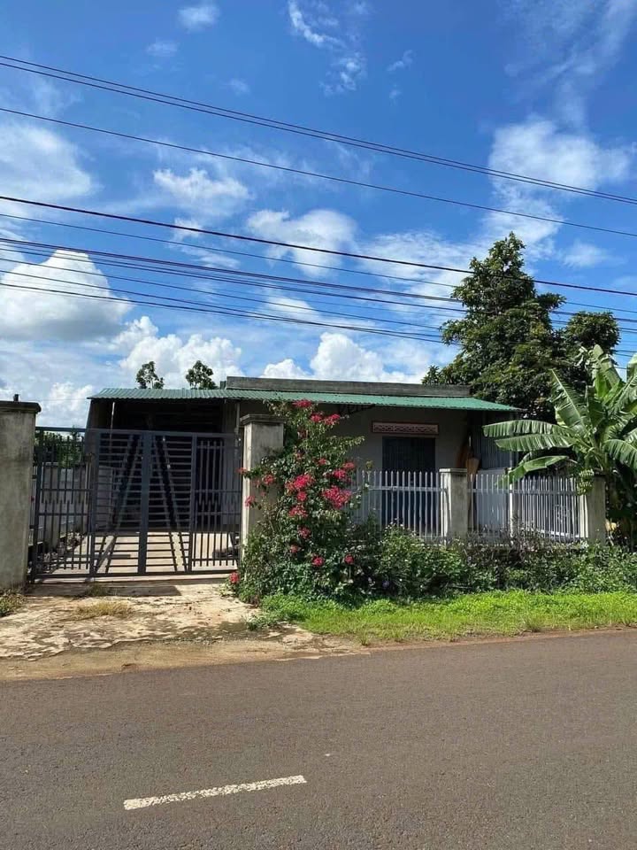 Đất thổ cư Cư M'gar 1000m² giá 1.5 tỷ - Nhà cấp 4, hướng Nam