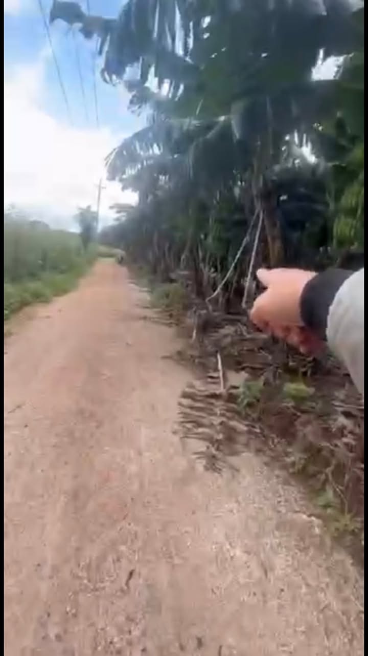 Đất nền Sông Ray Cẩm Mỹ 1000m² giá 700 triệu - Đầu tư sinh lời ngay!