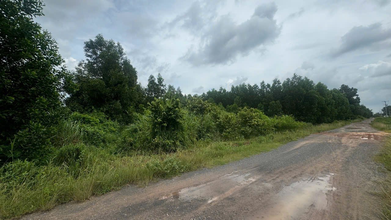 Đất nền mặt tiền Nguyễn Thị Chơn, xã Phước An 6626m² giá 1.9 tỷ - Cơ hội đầu tư hấp dẫn!