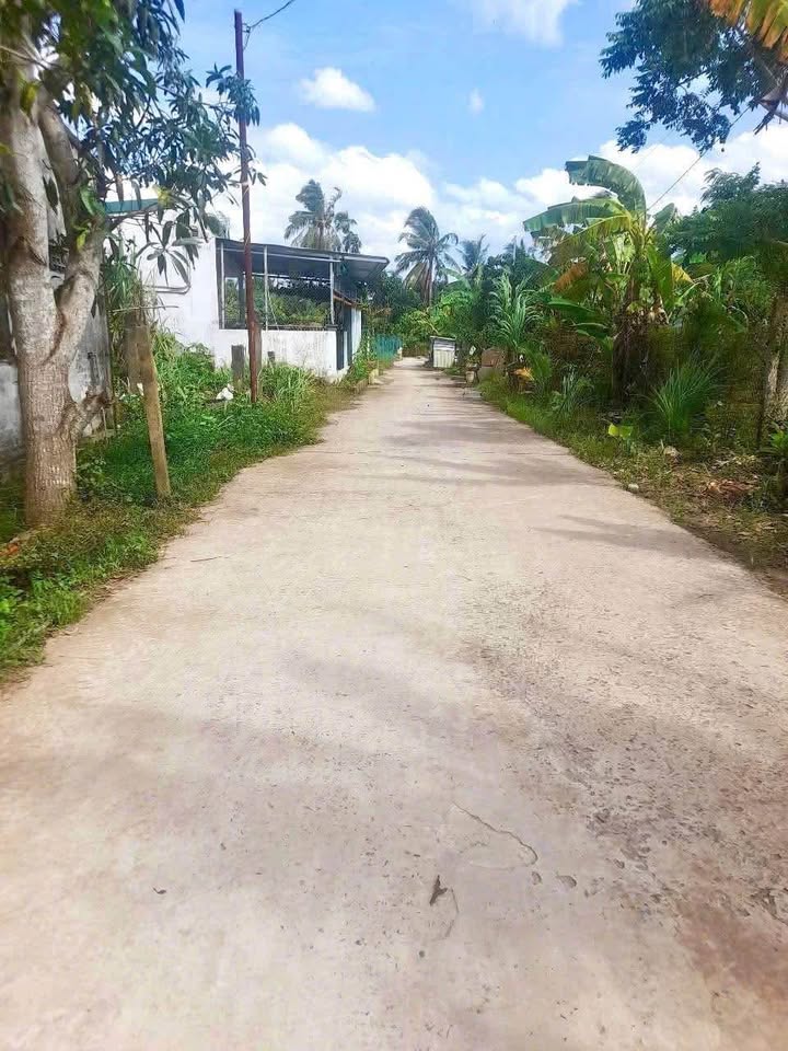 Đất nền Phước Thới, Ô Môn 178m² giá chỉ 300 triệu - Cơ hội đầu tư sinh lời!