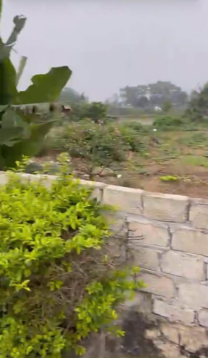 Lô đất Tiên Trang 1.031m² giá 6 tỷ - Đầu tư sinh lời ngay gần biển!