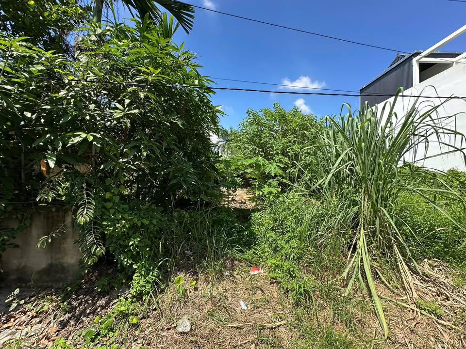 Đất nền mặt đường Trà Khê, Anh Dũng 90m² giá chỉ 2.75 tỷ - Cơ hội đầu tư tuyệt vời!