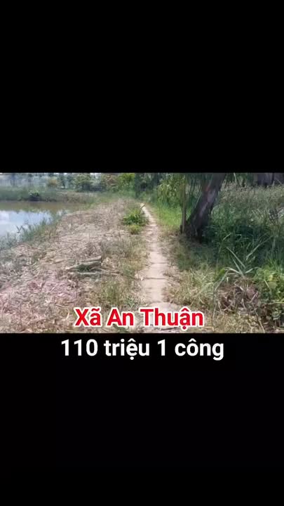 Đất nền 14 công xã An Thuận, Thạnh Phú, Bến Tre 50.400m² - Giá chỉ 1.54 tỷ - Cơ hội đầu tư hấp dẫn!
