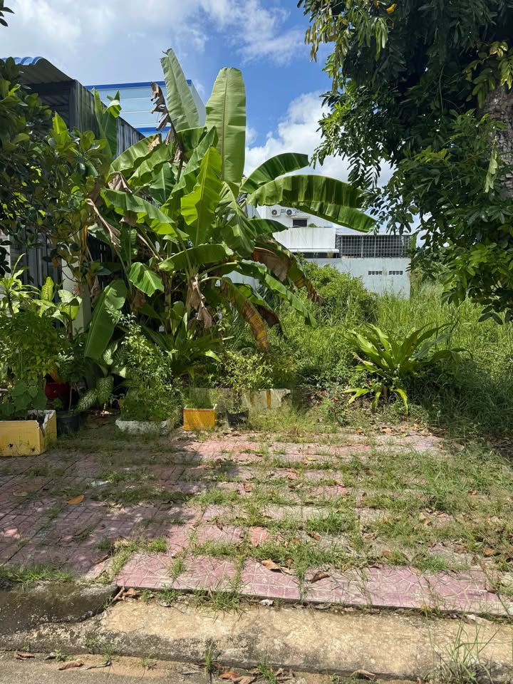 Đất nền đường Phó Đức Chính, Cà Mau 143m² giá 1.645 tỷ - Sổ hồng riêng chính chủ!