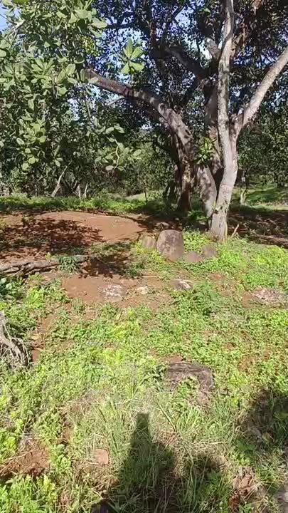 Đất nền Phú Trung 9,7 sào giá 1,1 tỷ - Gần khu dân cư, cơ hội đầu tư tốt!