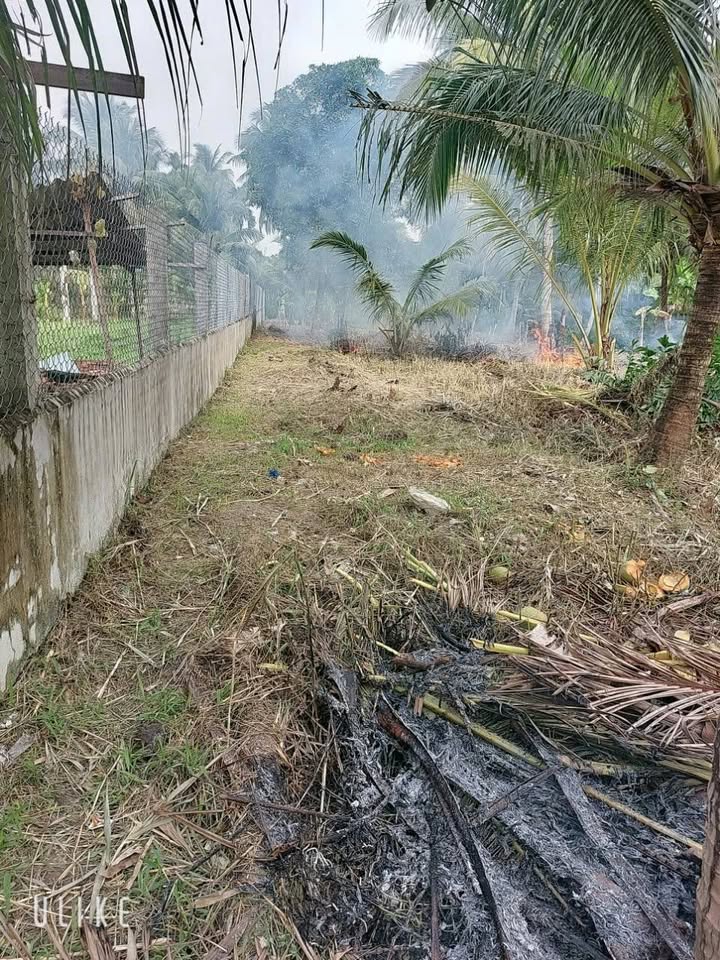 Đất nền Ấp Mỹ Hòa, xã Song Thuận, 301m² giá chỉ 390 triệu - Cơ hội đầu tư tuyệt vời!