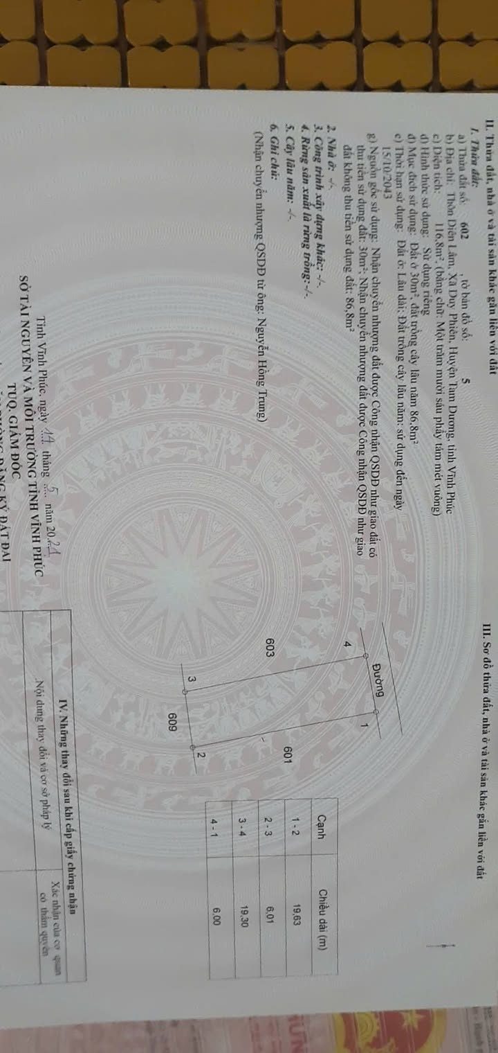 Đất nền Duy Phiên - Tam Dương 116.8m² giá chỉ 700 triệu - Đầu tư sinh lời ngay!