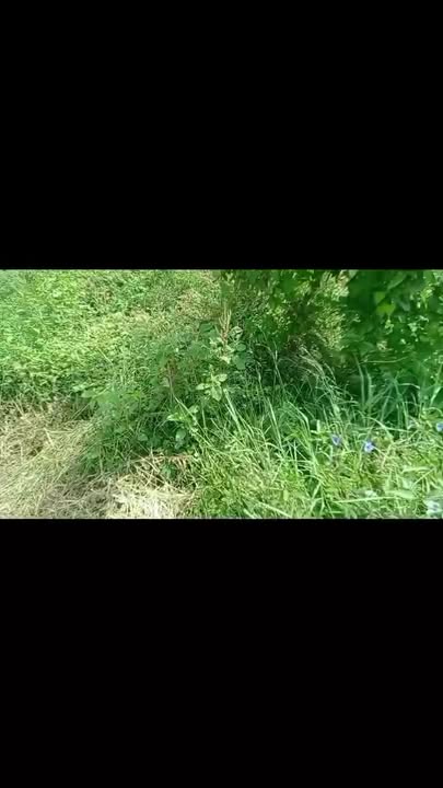 Đất nền 20x50m 2 mặt tiền tại Tam Nông, Đồng Tháp - Sổ đỏ chính chủ!