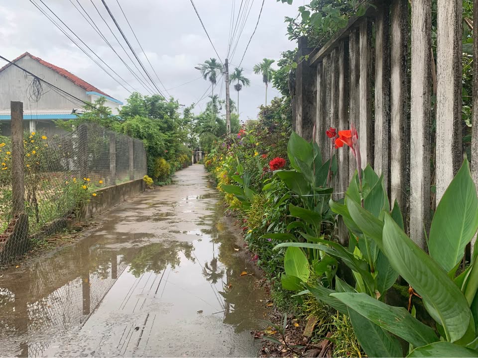 Đất nền Nghĩa Điền, Tư Nghĩa 108m² giá 650 triệu - Cơ hội đầu tư hấp dẫn!