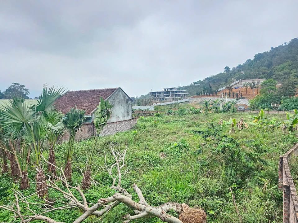 Lô đất Tiến Xuân, Thạch Thất 324m² giá 4.86 tỷ - Sổ hồng chính chủ, pháp lý rõ ràng!