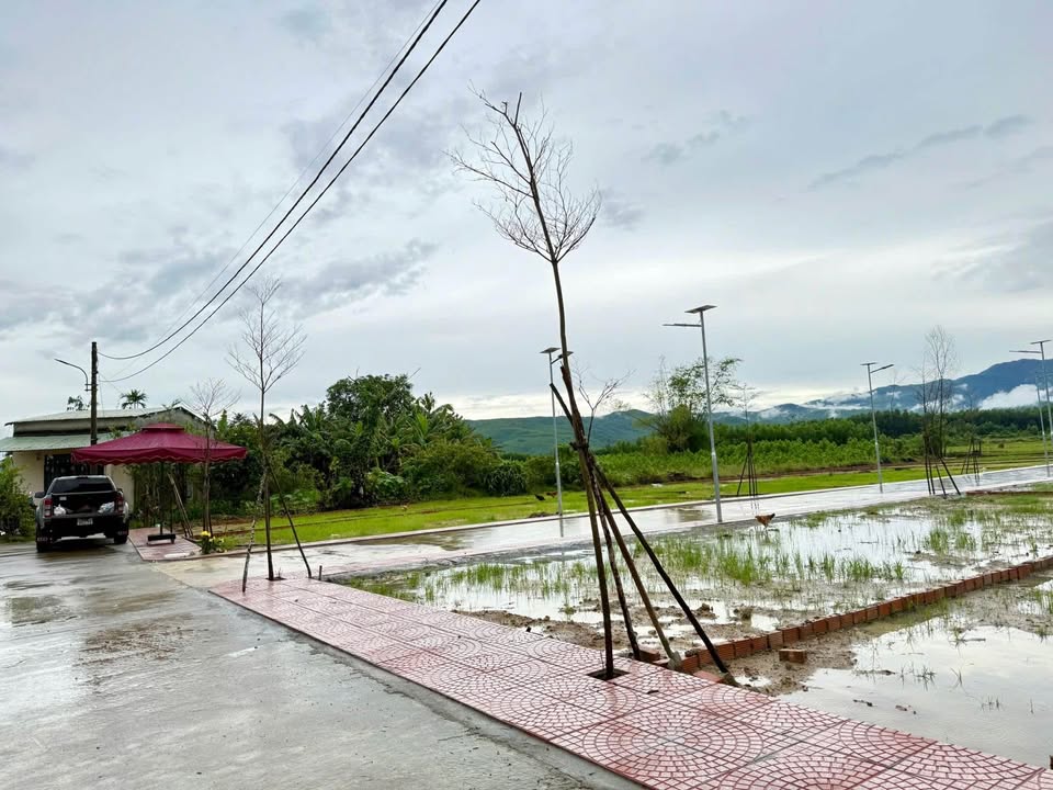 Đất nền Hòa Vang Đà Nẵng 120m² giá chỉ 1.3 tỷ - Cơ hội đầu tư sinh lời!