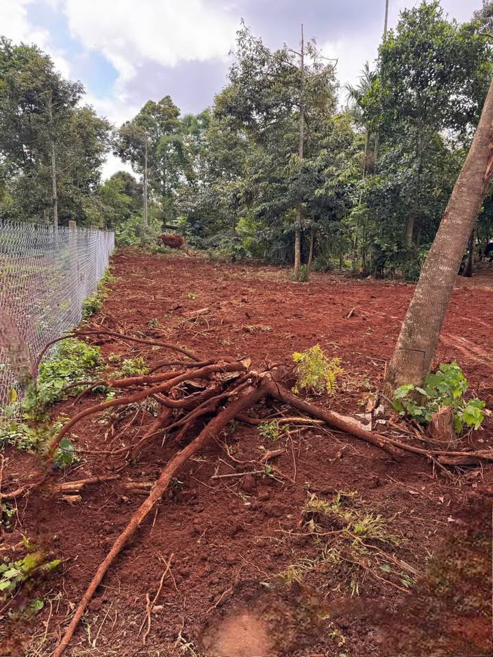 Bán đất tại Buôn Ma Thuột 205m² giá 1.8 tỷ - Sổ đỏ chính chủ!