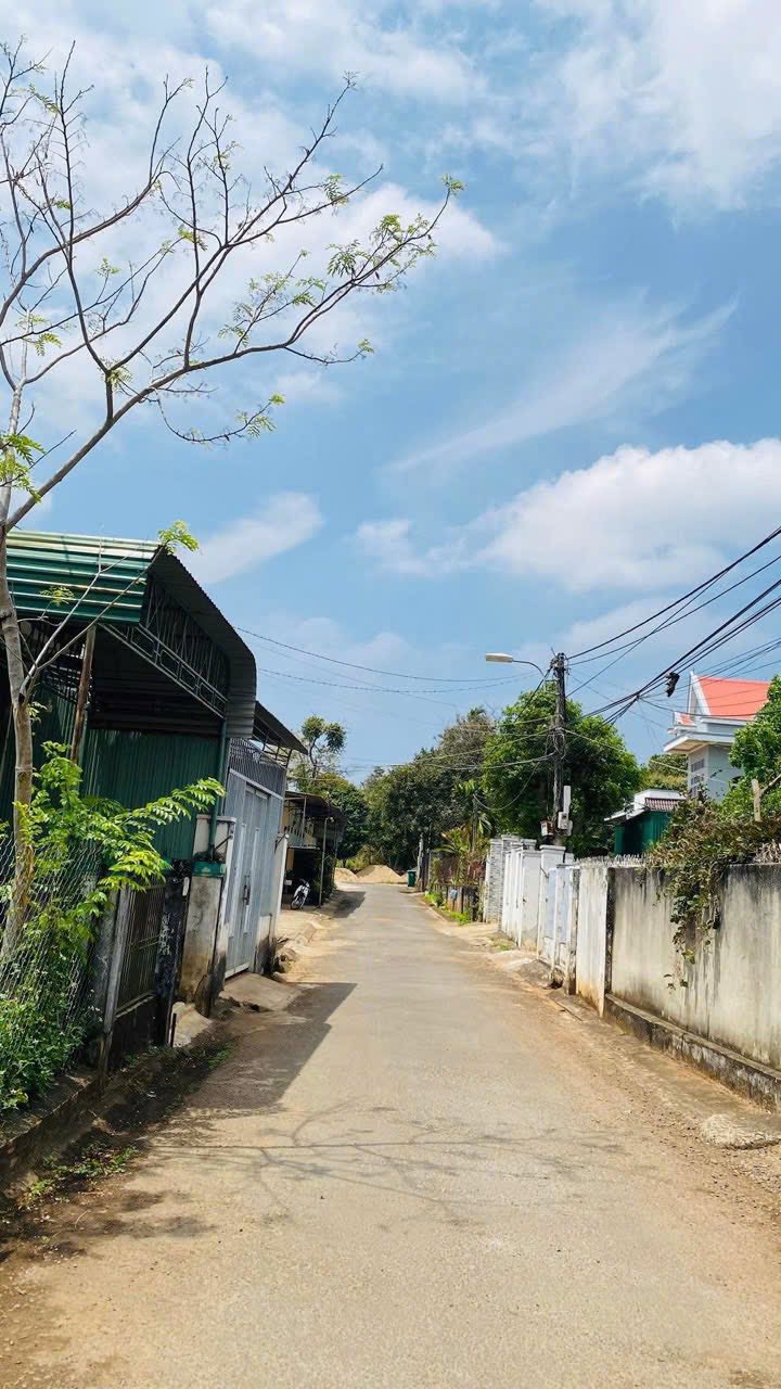 Bán đất tặng nhà cấp 4 Hẻm 04 Nguyễn Xuân Nguyên 143m² giá 3.6 tỷ - Tiềm năng phát triển lớn!