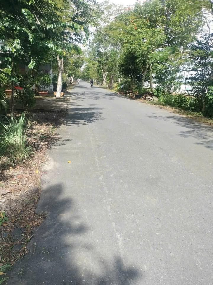 Bán Đất Nền Đường 19/5, Xã Châu Thới, Bạc Liêu 585m² - Đầu Tư Sinh Lời Ngay Lập Tức!