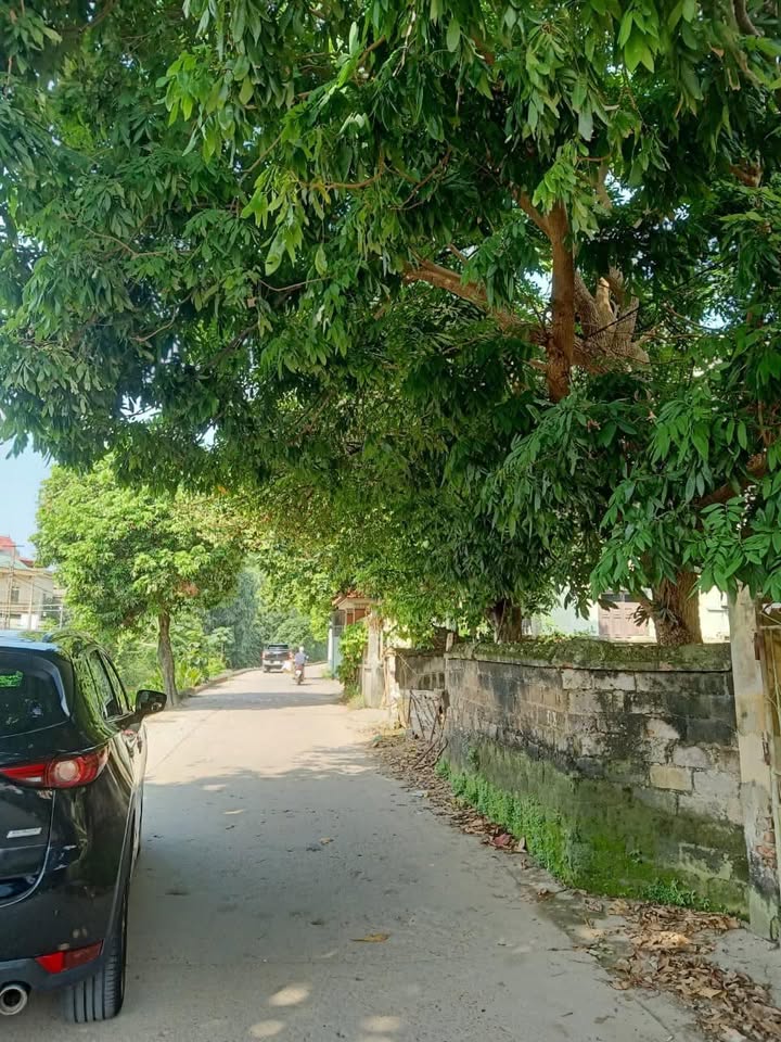 Đất nền Vân Cơ, Việt Trì 64m² giá 2 tỷ - Cơ hội đầu tư hấp dẫn!