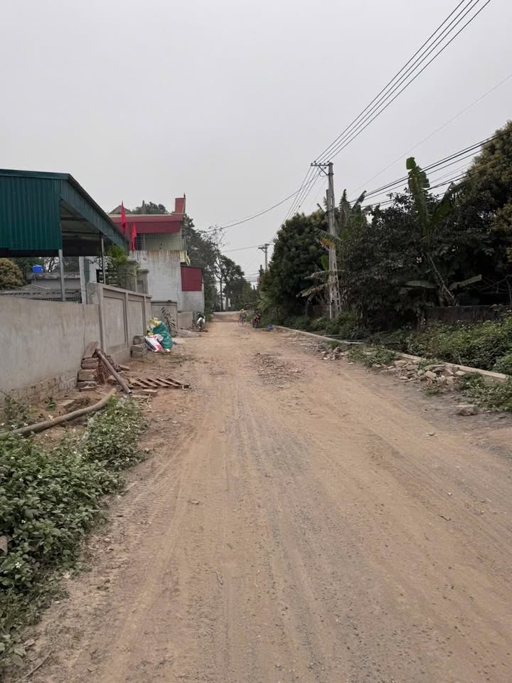 Đất thổ cư Đa Lộc, Hậu Lộc 220m² - Hướng Nam mát mẻ, giá thỏa thuận!