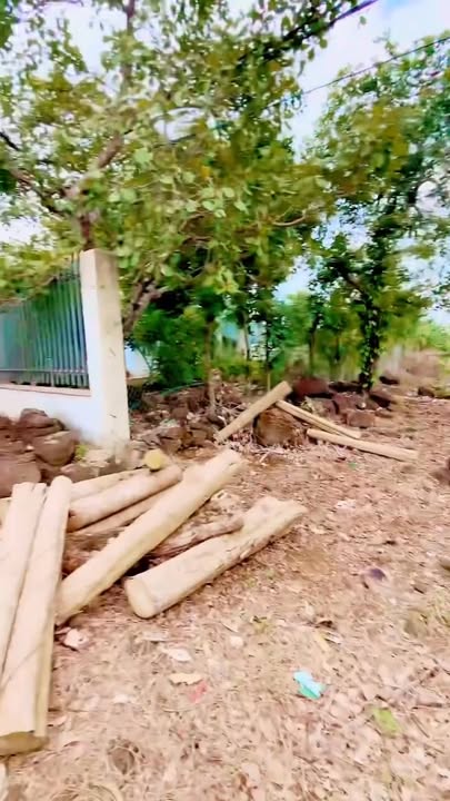 Đất nền Phú Lộc Tân Phú 1800m² giá 1.6 tỷ - Đầu tư sinh lời tuyệt vời!