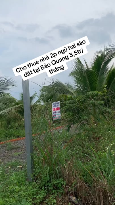 Nhà cho thuê 720m² tại Bảo Quang, Long Khánh - Không gian sống xanh, gần gũi thiên nhiên!