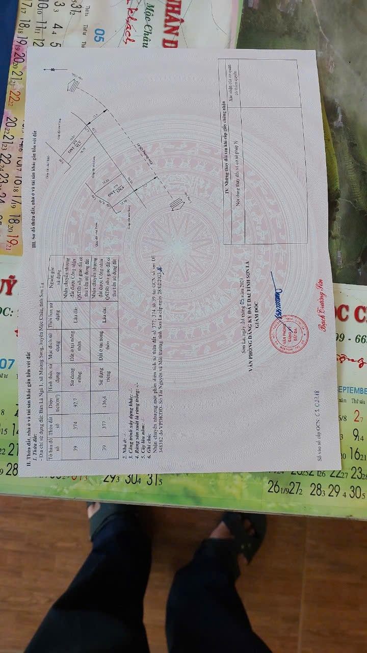 Đất Mường Sang Mộc Châu 95m² - Bán gấp, pháp lý rõ ràng!