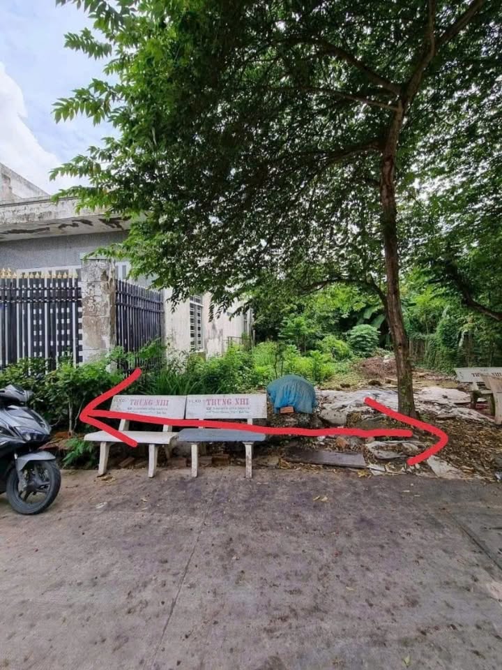 Bán đất ODT Hẻm 192 Nguyễn Thông, Bình Thủy, 72m² - Giá chỉ 1.6 tỷ!