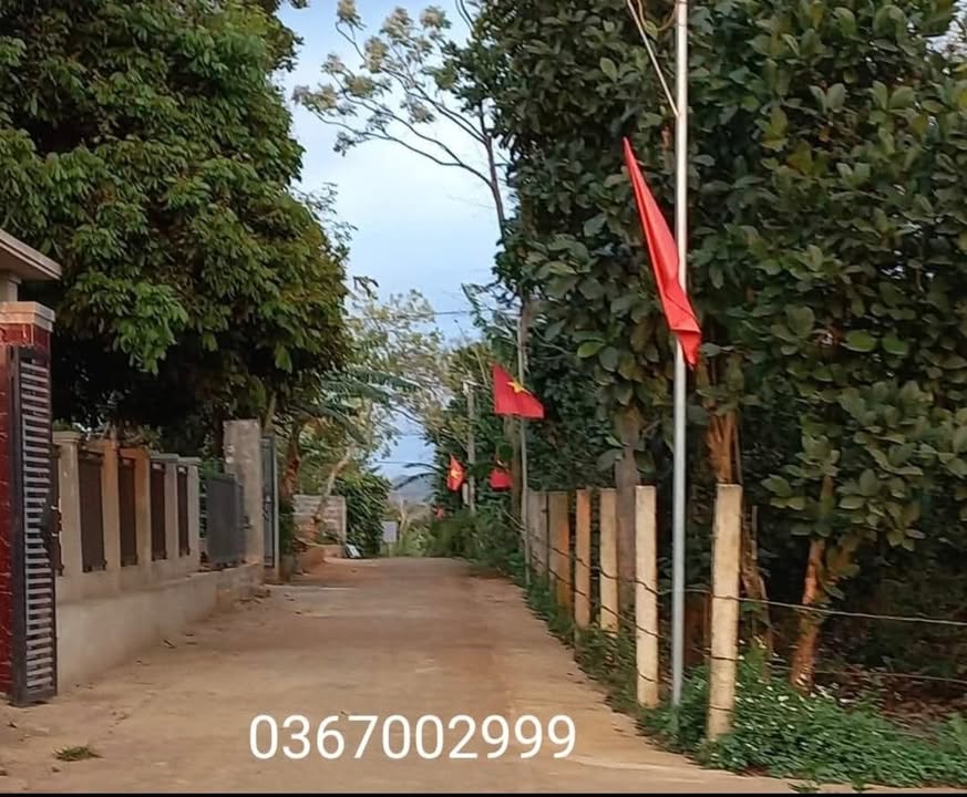 Đất nền Tân Liên, Hướng Hóa 100m² - Giá thỏa thuận, vị trí đẹp gần chợ!