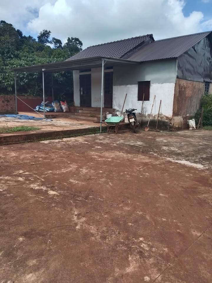 Đất nền 2988m² tại Ea Tân, Krông Năng giá 2.7 tỷ - Cơ hội đầu tư hấp dẫn!