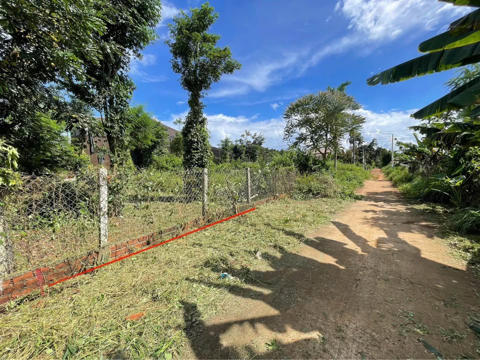 Đất nền mặt tiền đường KB4, Tân An, 105m² giá chỉ 1.26 tỷ - Cơ hội đầu tư tuyệt vời!