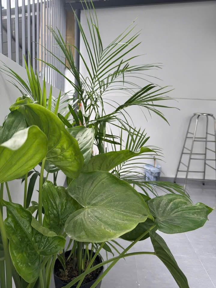 Nhà cấp 4 Vĩnh Ngọc Nha Trang 78.7m² giá 3.1 tỷ - Nội thất xịn, vị trí đẹp!