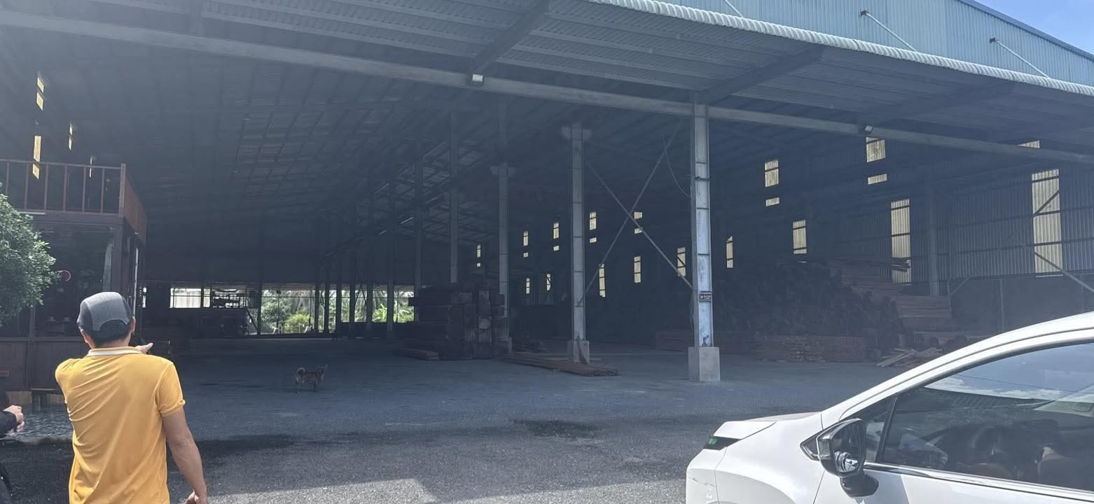 Cho thuê kho 3000m² tại Nhị Quý, Cai Lậy - Giá 120 triệu/tháng, Sẵn sàng hoạt động!