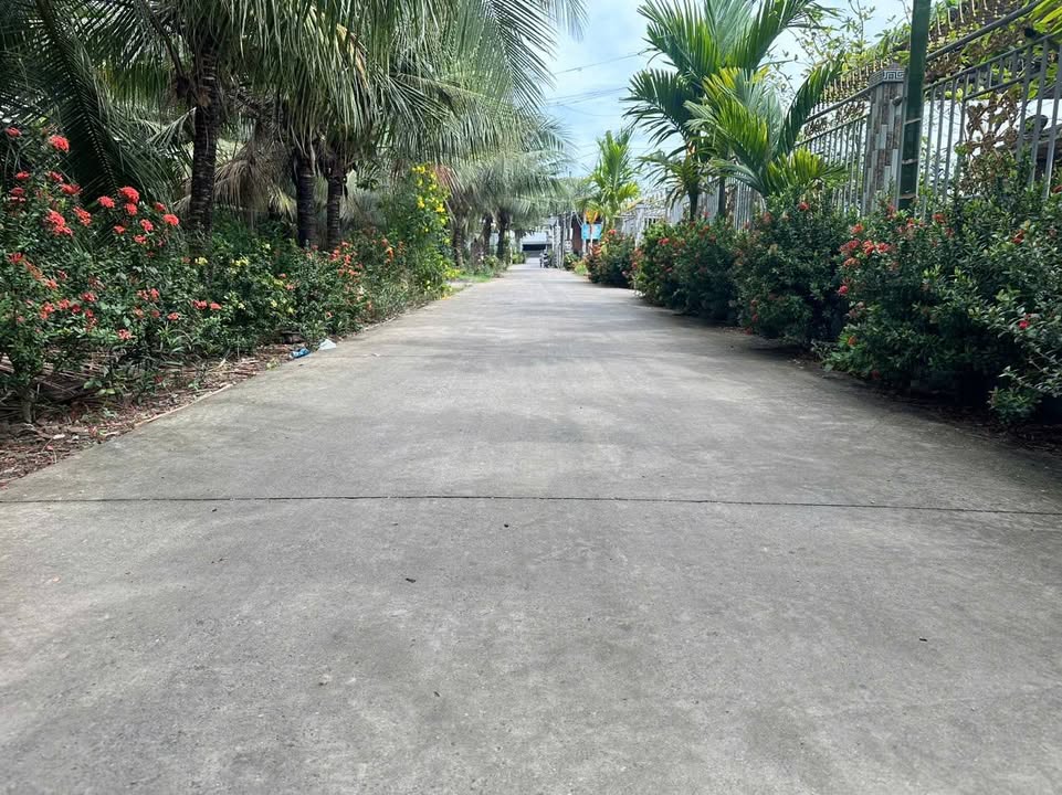 Đất nền 279m² tại xã Bình Trưng, Châu Thành - Sổ hồng chính chủ, giá 1.25 tỷ!