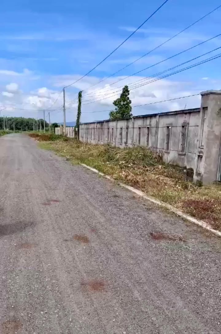 Đất nền mặt tiền đường Lê Văn Một, Đất Đỏ 1153m² giá 2.2 tỷ - Đầu tư sinh lời ngay!